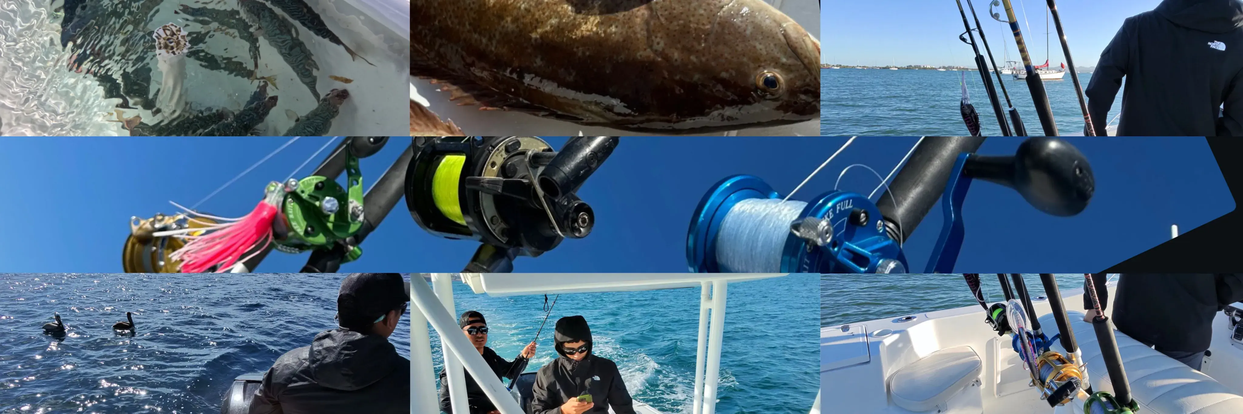 Sport Fishing